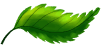 Leaf Icon